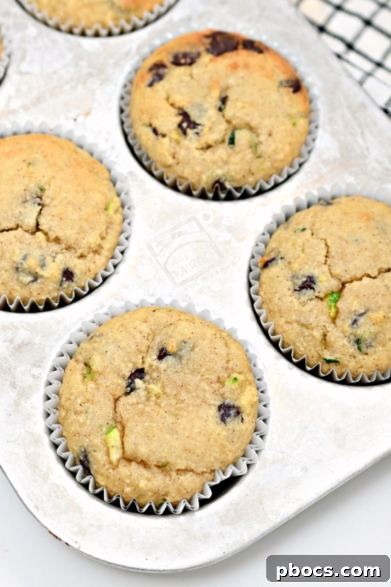 Irresistible Keto Chocolate Chip Zucchini Muffins 4 Close-up of a moist Keto Chocolate Chip Zucchini Muffin