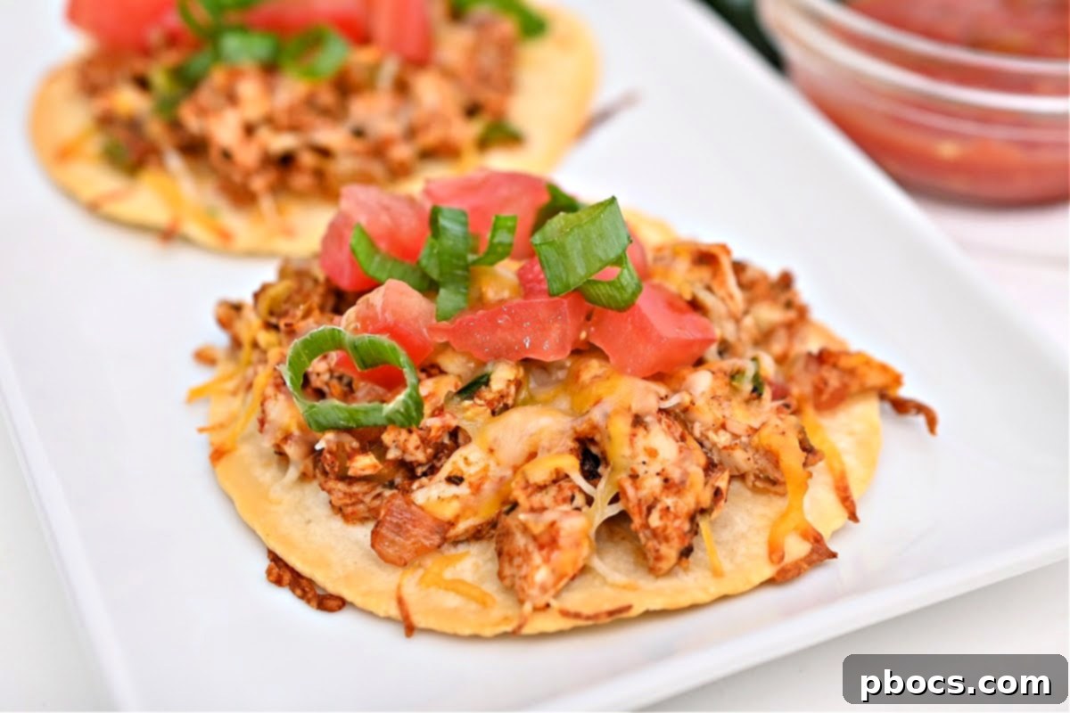 Crispy Keto Tostadas 5 Two Keto Tostadas on a white plate