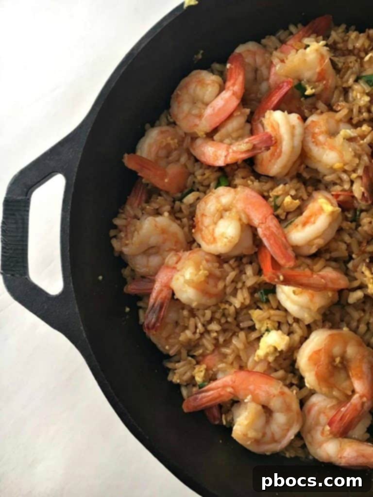 Finished Easy Shrimp Fried Rice Dish
