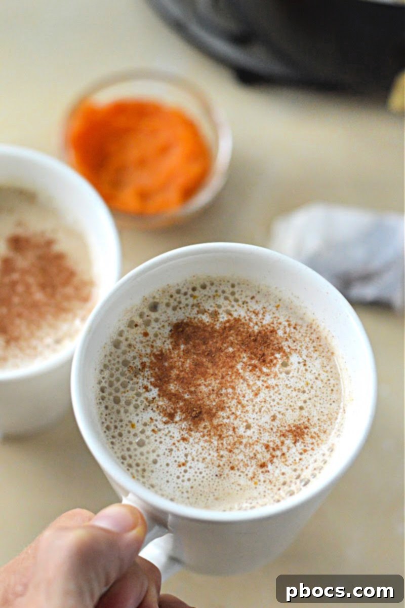 A deliciously foamy Keto Pumpkin Chai Tea Latte topped with whipped cream and a sprinkle of spice.