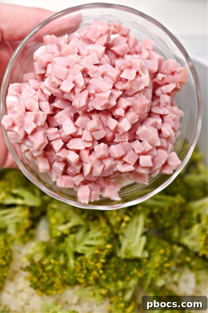 Melted cheddar cheese in the creamy sauce for casserole