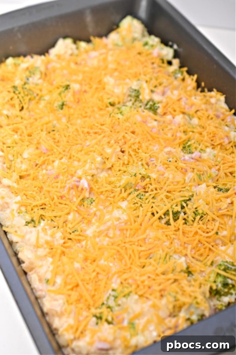 Casserole mixture spread in a baking dish