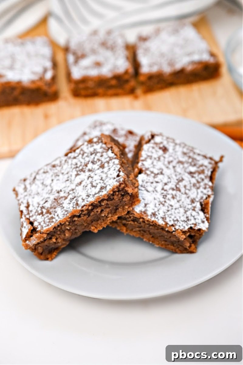 Low-Carb Gingerbread Brownies - another angle of brownies on a plate