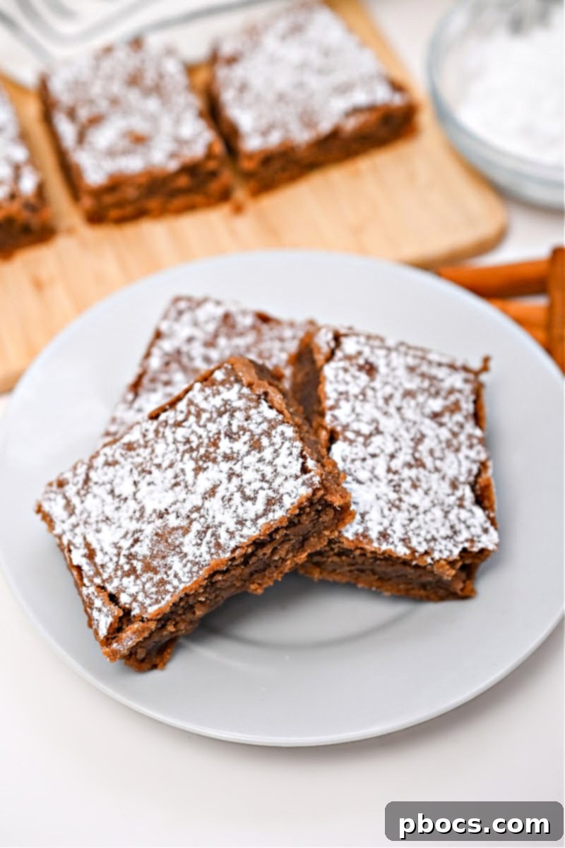 Low-Carb Gingerbread Brownies - close-up on a stack of brownies