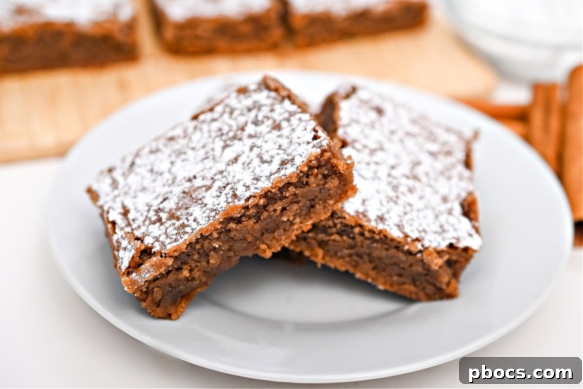 Low-Carb Gingerbread Brownies - overhead shot of sliced brownies