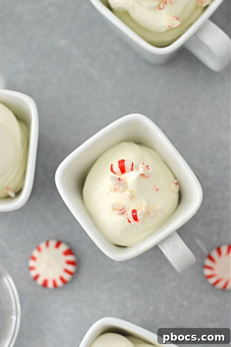 Cool Mint Keto Mousse Bites 5 Keto Peppermint Mousse Shooters