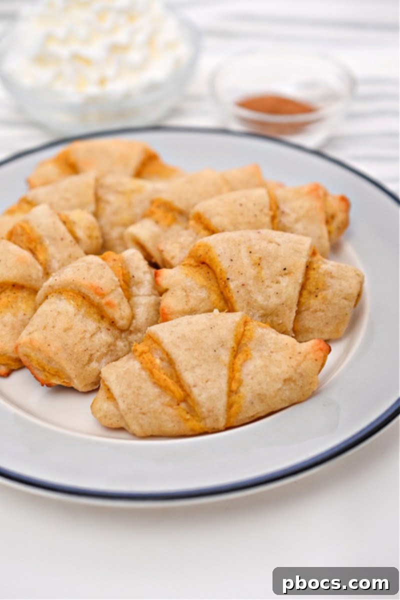 Neatly arranged keto pumpkin crescent rolls in an airtight container for proper storage and freshness.