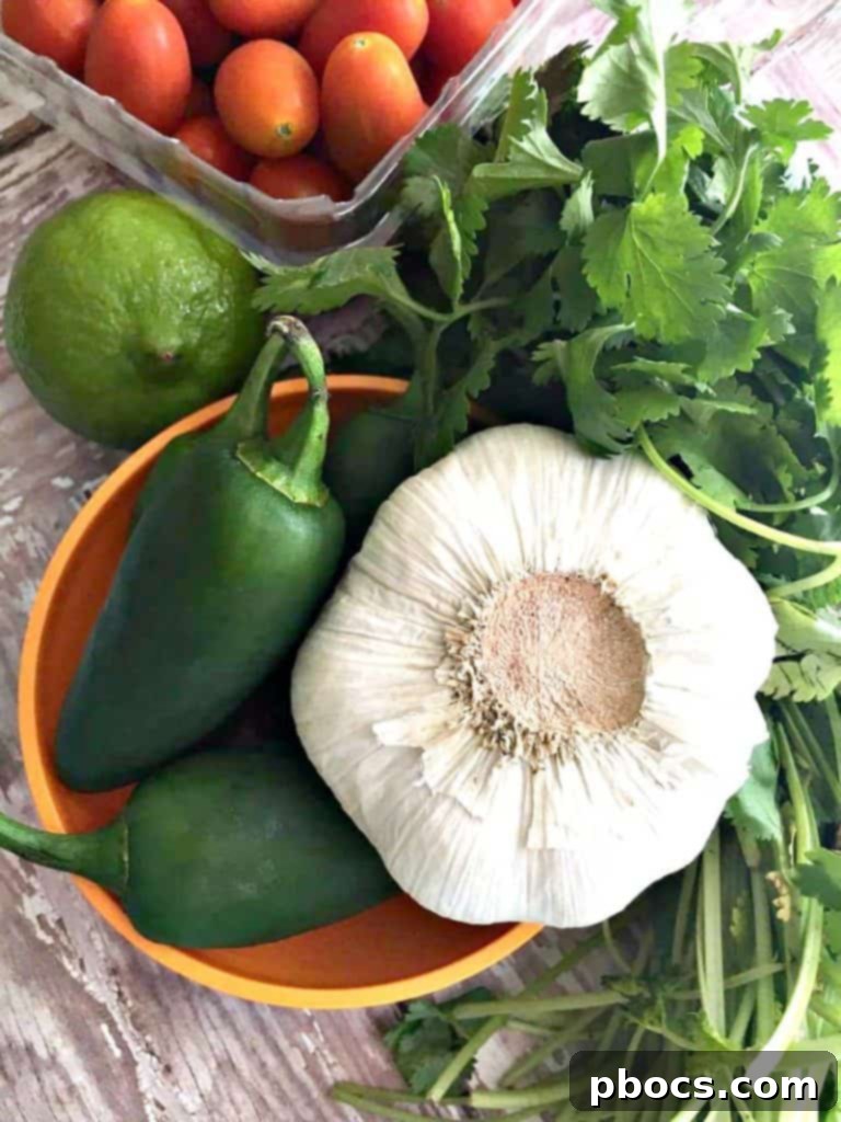Ingredients laid out for Cilantro Jalapeño Sauce, including fresh cilantro, jalapenos, garlic, lime, and sour cream.