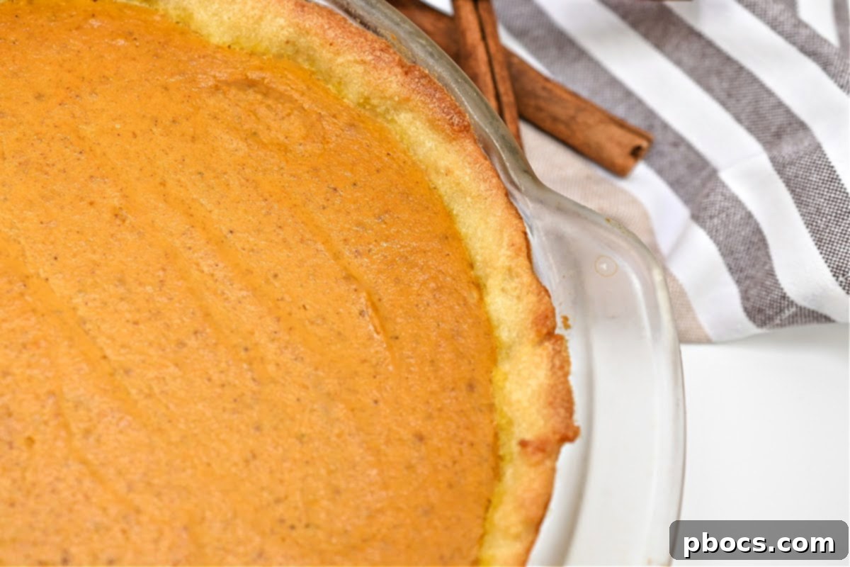 Costco Keto Pumpkin Pie Indulgence 7 Properly stored Keto Costco Pumpkin Pie