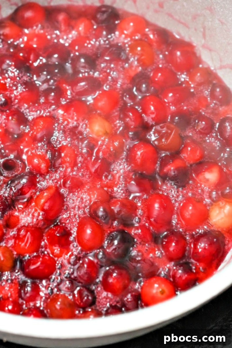 Fresh cranberries, water, and Swerve simmering in a pot for a low-carb cranberry sauce.