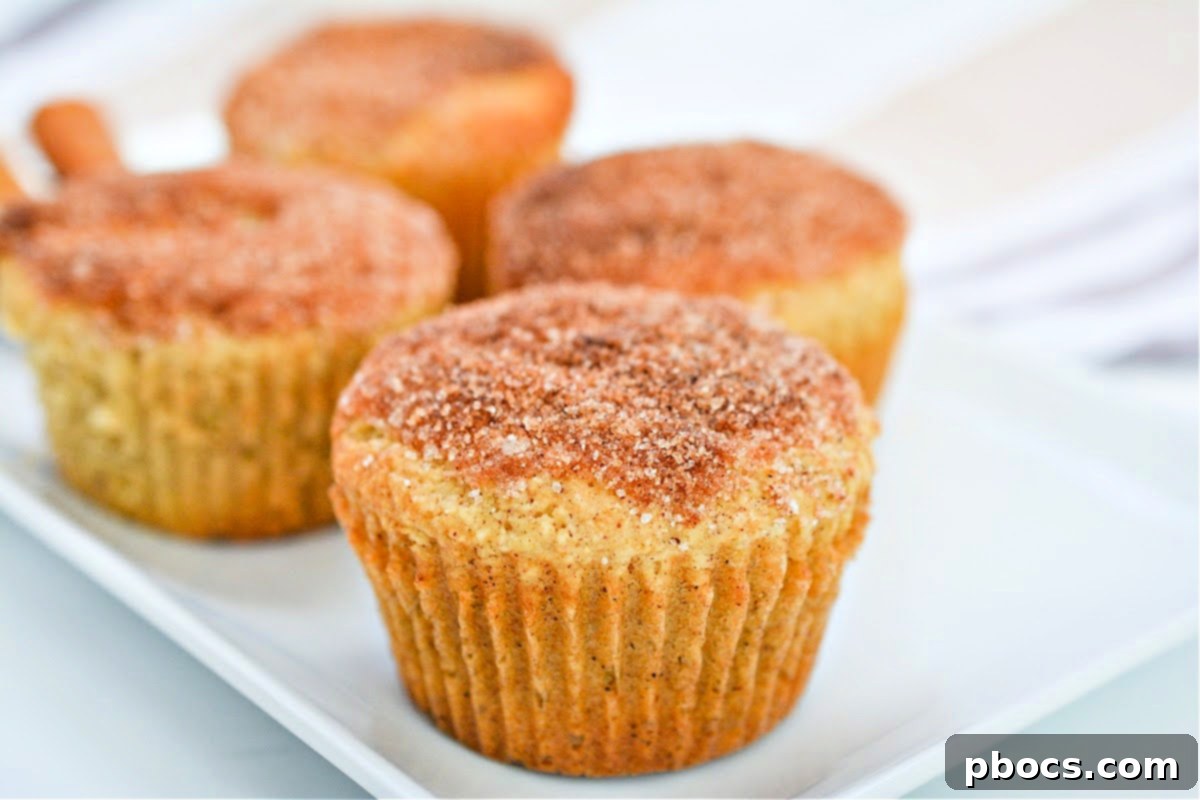 Delectable Keto Snickerdoodle Muffins 13 Coating Keto Snickerdoodle Muffins with cinnamon sugar
