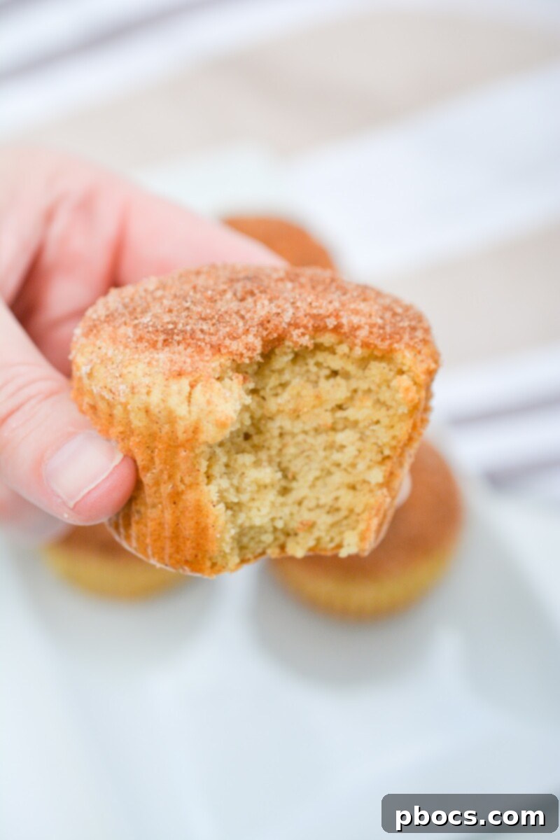 Delectable Keto Snickerdoodle Muffins 4 Irresistible Keto Snickerdoodle Muffins: Low Carb, High Flavor