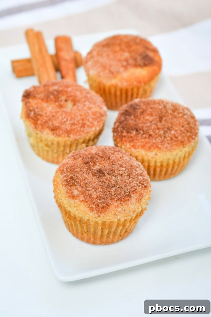 Delectable Keto Snickerdoodle Muffins 6 Tips for Storing and Freezing Keto Snickerdoodle Muffins