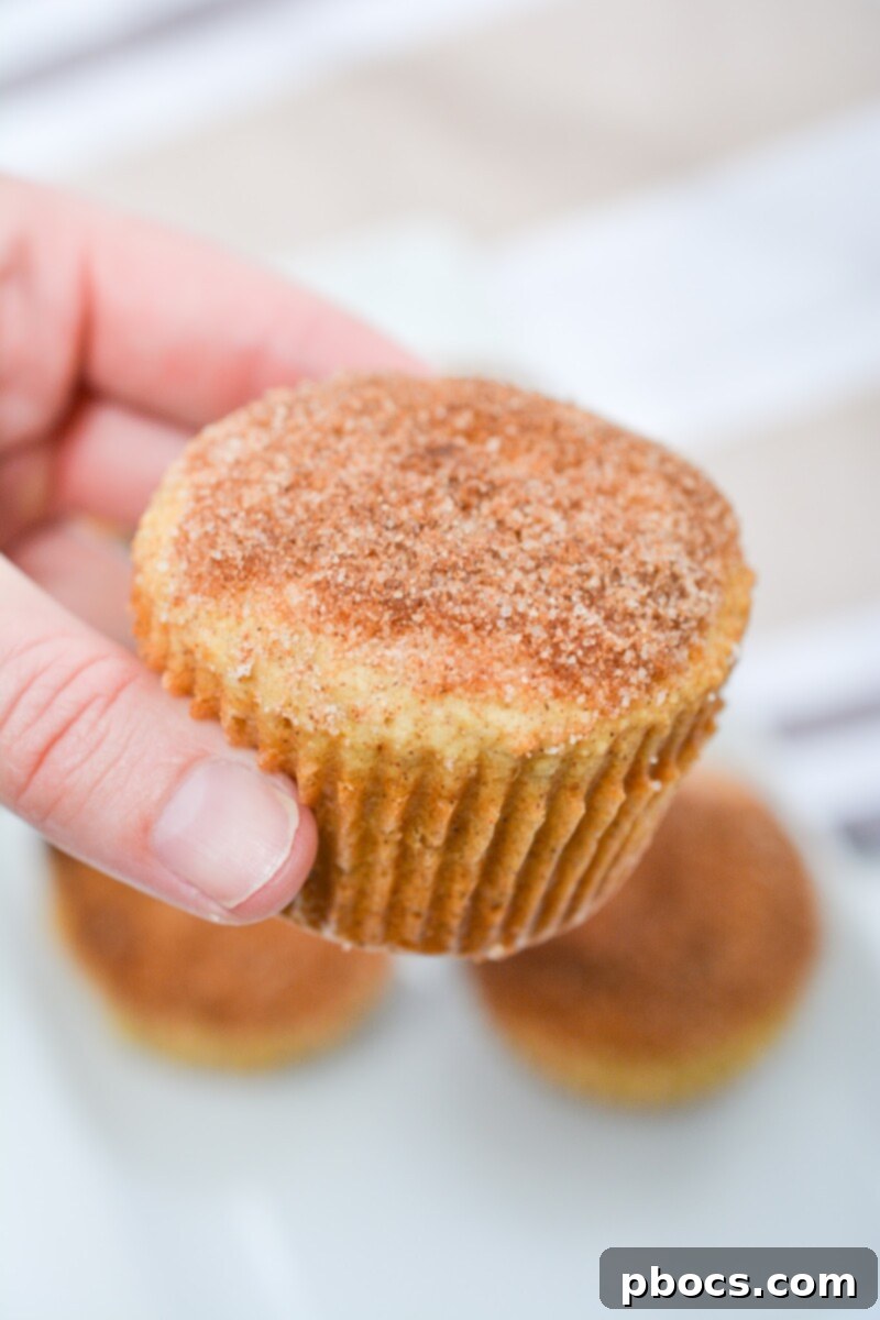 Delectable Keto Snickerdoodle Muffins 7 Complementary Breakfast Ideas for Keto Snickerdoodle Muffins