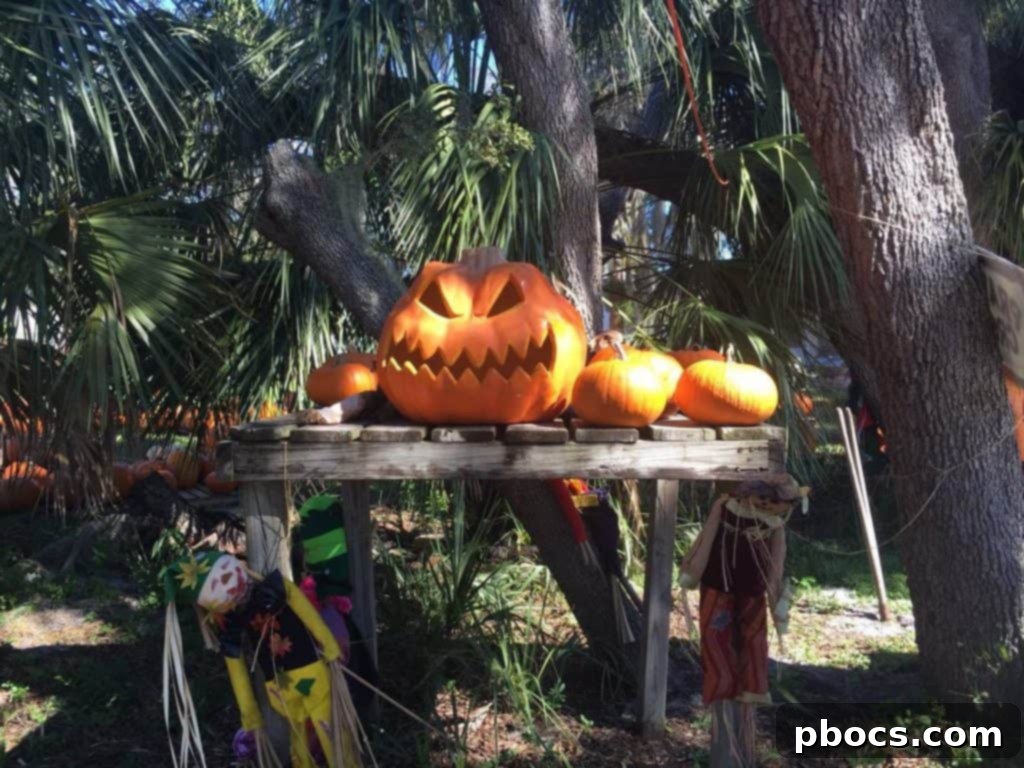 Olivia attempting to pull herself up using pumpkins, showing her developing motor skills