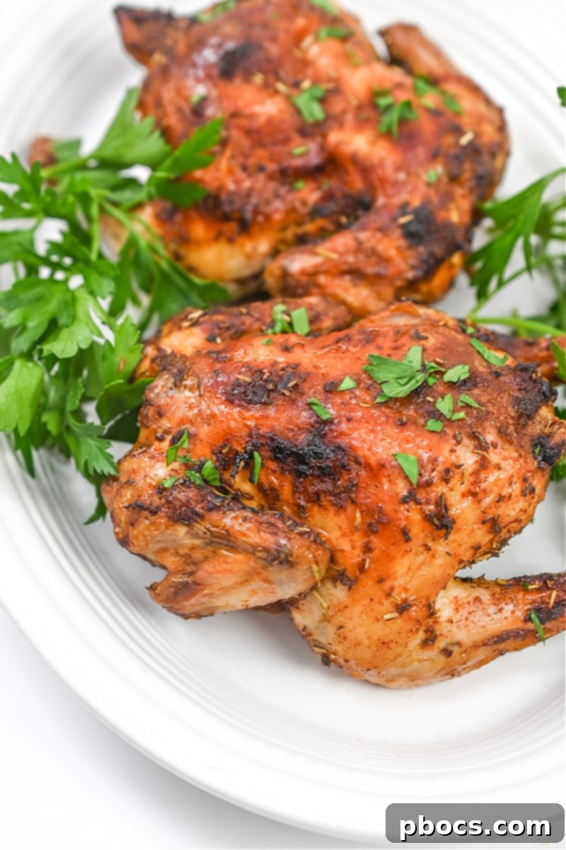 What are Cornish Hens? Small and Tender Poultry