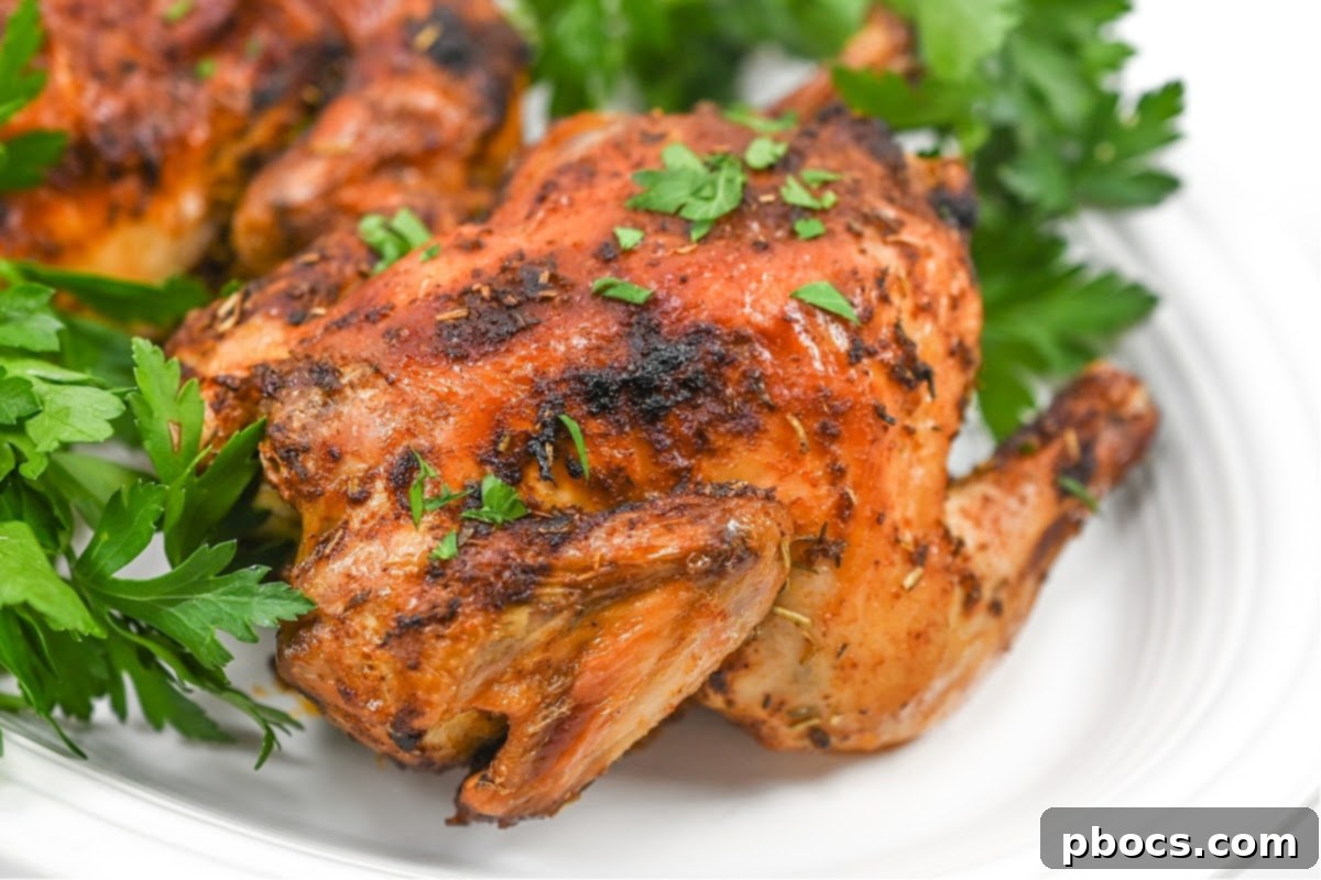 Air Fryer Cornish Hens - Golden and Crispy Perfection