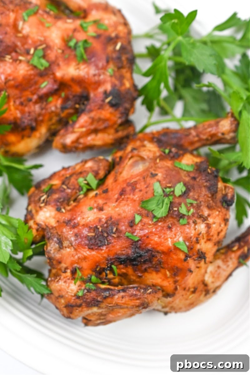 Keto Air Fryer Cornish Hens with Delicious Sides