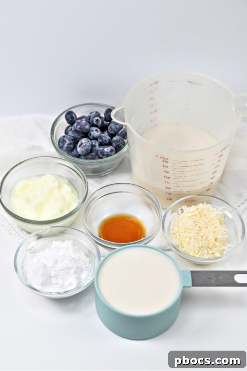 Ingredients for Keto Blueberry Coconut Smoothie