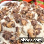 Keto Peanut Butter Chocolate Dip 14 Keto Reese's Dip thumbnail