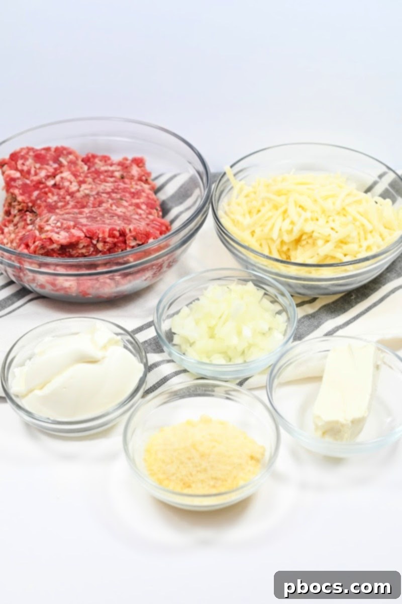 Keto Sausage Lasagna Pinwheels 8 All ingredients for Keto Sausage Lasagna Rollups laid out