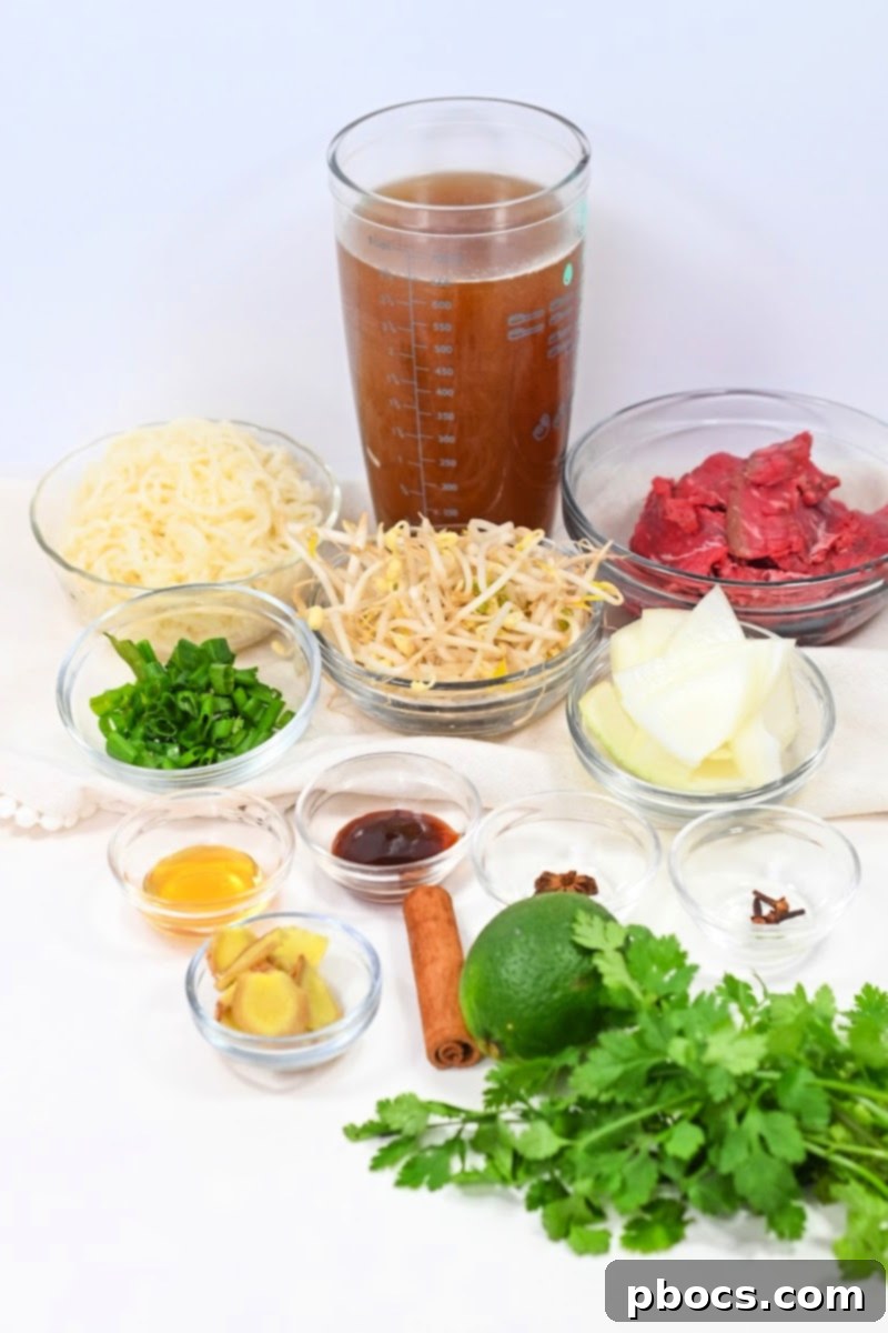 Ingredients for Keto Beef Pho laid out for preparation