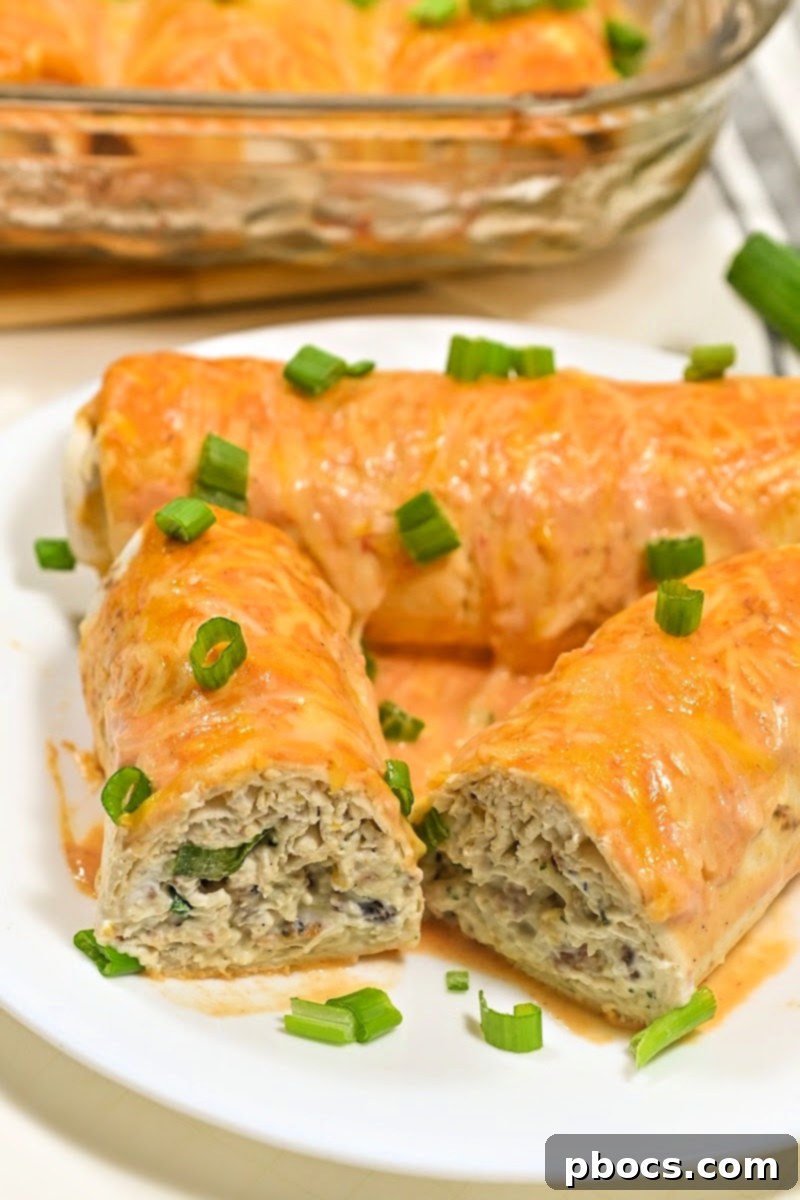 Delicious Keto Crack Chicken Enchiladas ready to be served