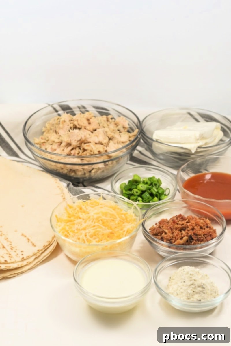 All ingredients laid out for Keto Crack Chicken Enchiladas