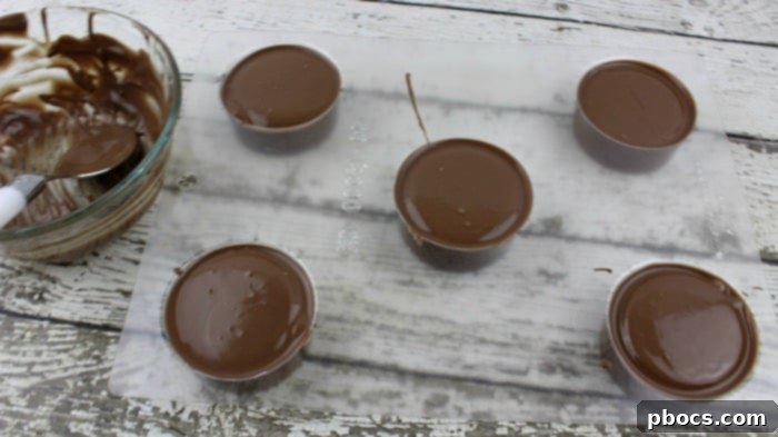 Gingerbread Oreo Cookies 