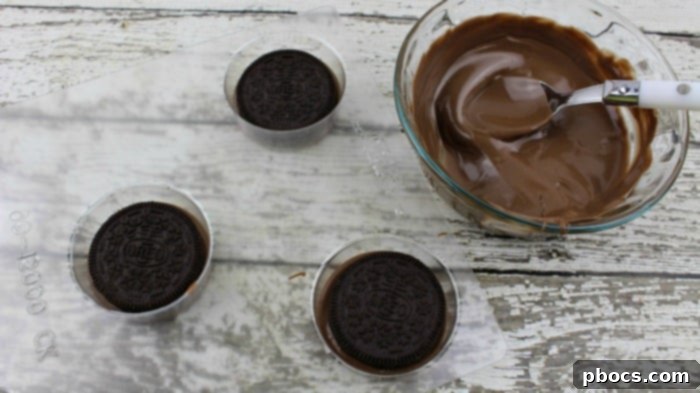 Gingerbread Oreo Cookies 