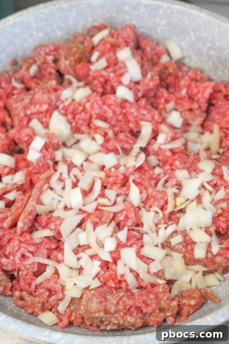 Browning ground pork and onions in a skillet