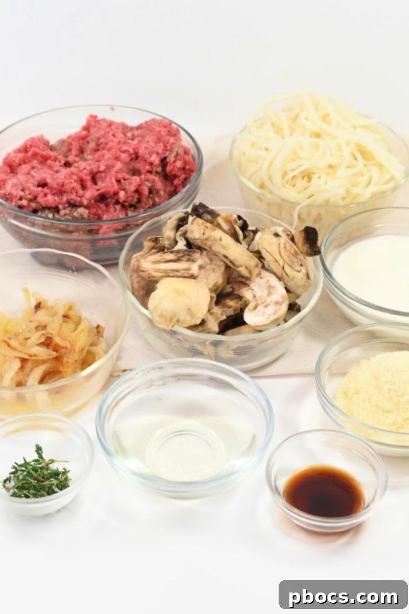 Ingredients laid out for Keto Creamy TikTok French Onion Pasta recipe