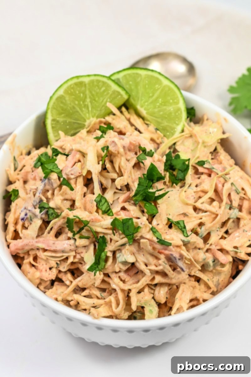 Close-up of fresh Keto Mexican Coleslaw in a bowl