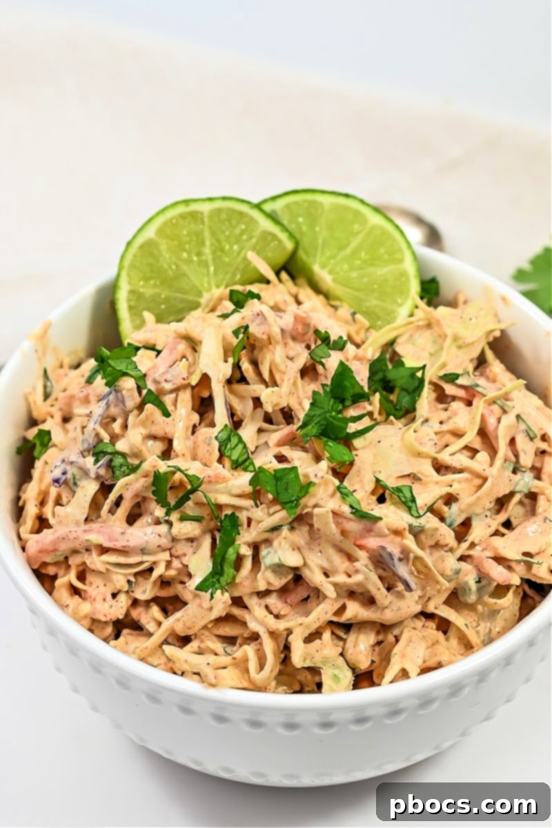 A selection of Keto Mexican dishes with coleslaw