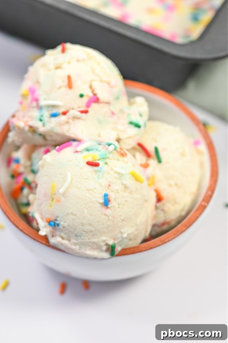 Low Carb Cottage Cheese Ice Cream With Sprinkles
