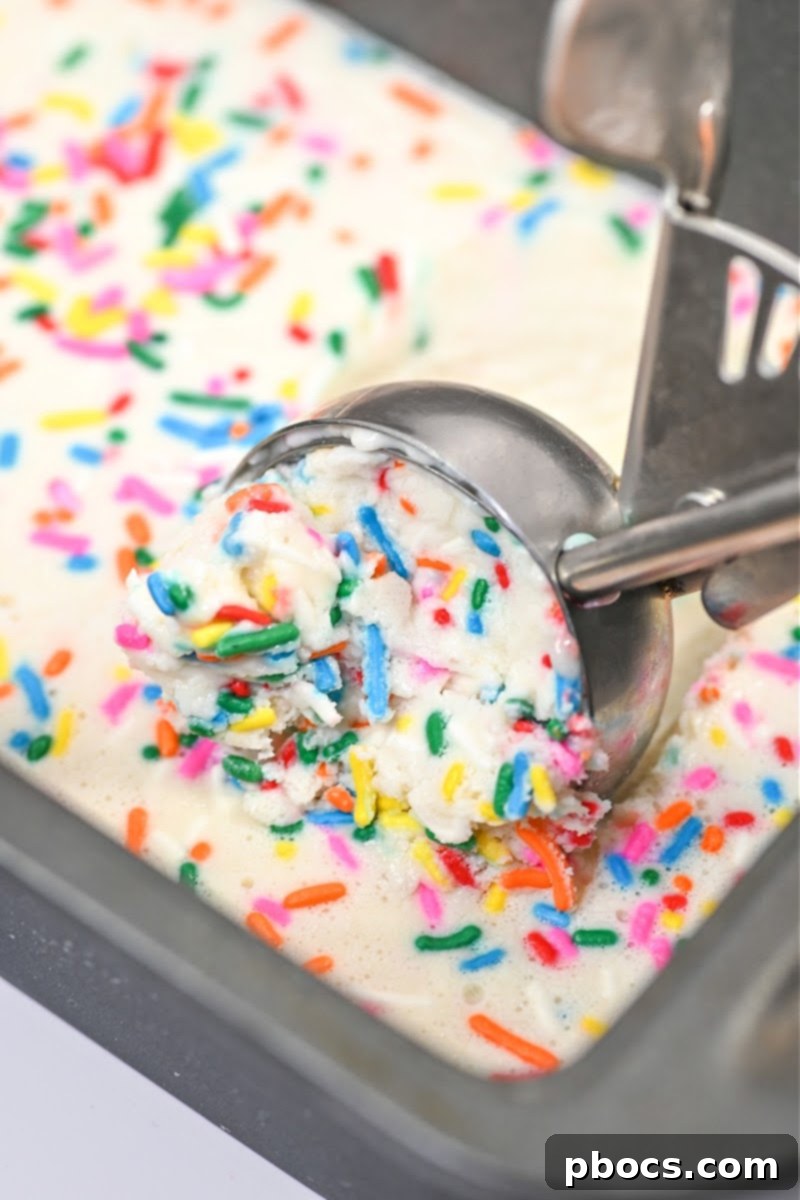 Using an ice cream scoop to get a scoop of homemade ice cream