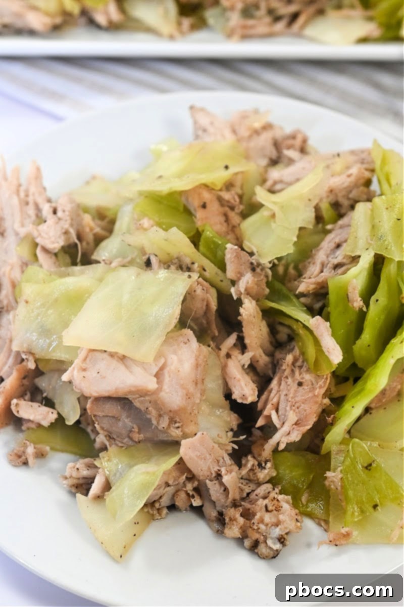 Delicious Keto Crockpot Kalua Pork and Cabbage served in a bowl