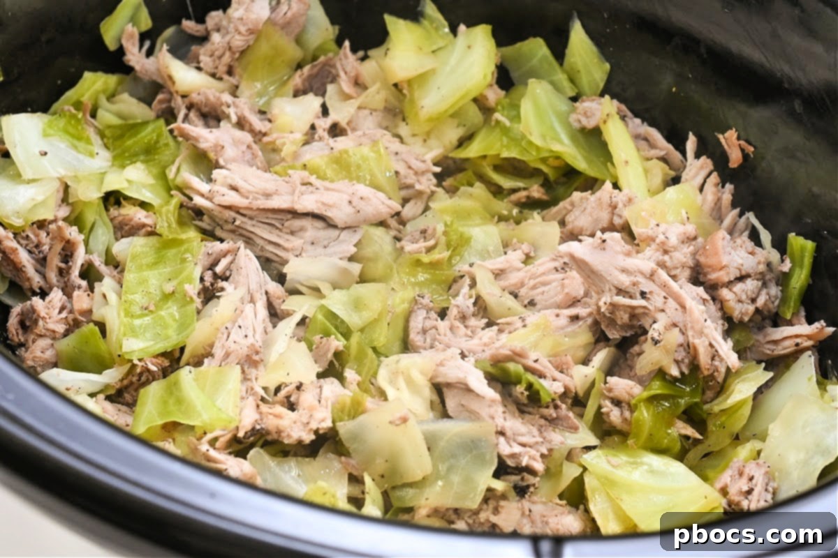 Shredded pork and cooked cabbage mixed in slow cooker