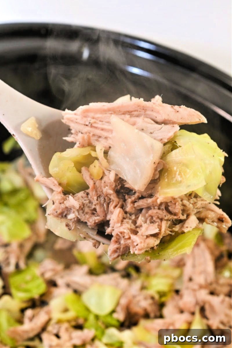 Close-up of shredded Keto Crockpot Kalua Pork and Cabbage