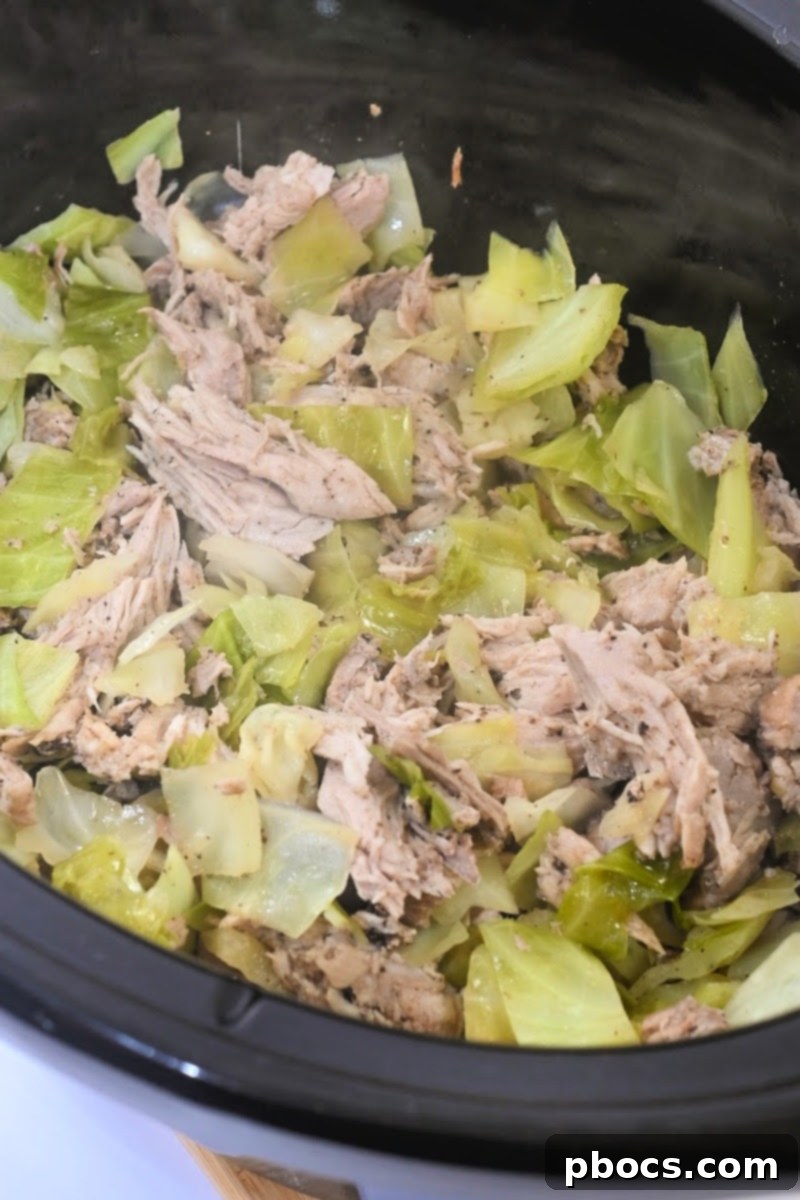 Pork shoulder roast seasoned and ready for slow cooker