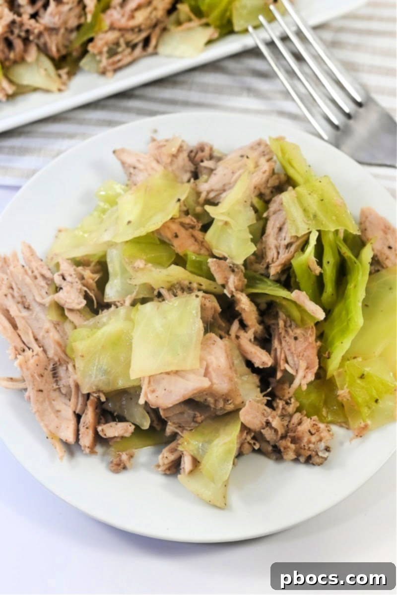 Bowl of Keto Crockpot Kalua Pork and Cabbage with a spoon