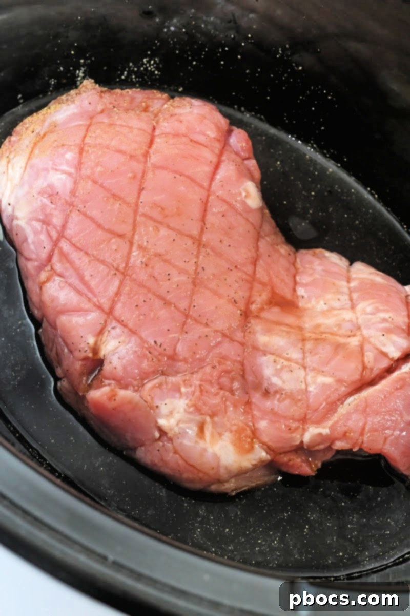 Seasoned pork shoulder ready to cook in slow cooker