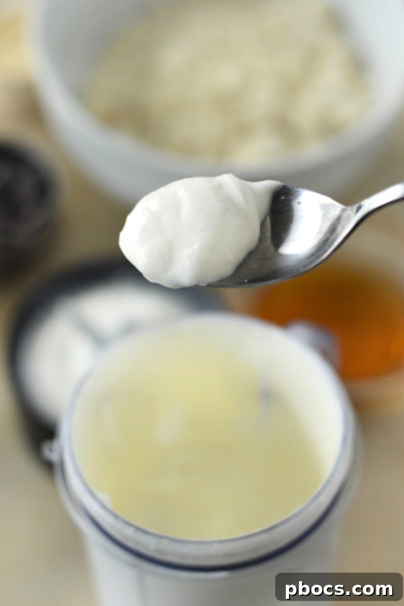 Pureed Cottage Cheese