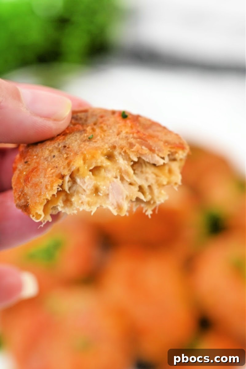 Close-up of crispy Keto Air Fryer Tuna Bites