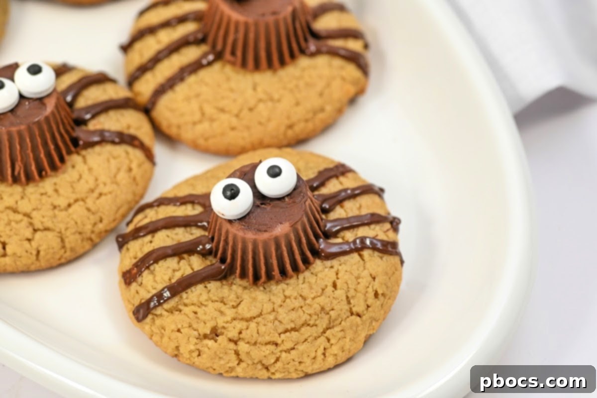 Close-up of cute Keto Peanut Butter Spider Cookies