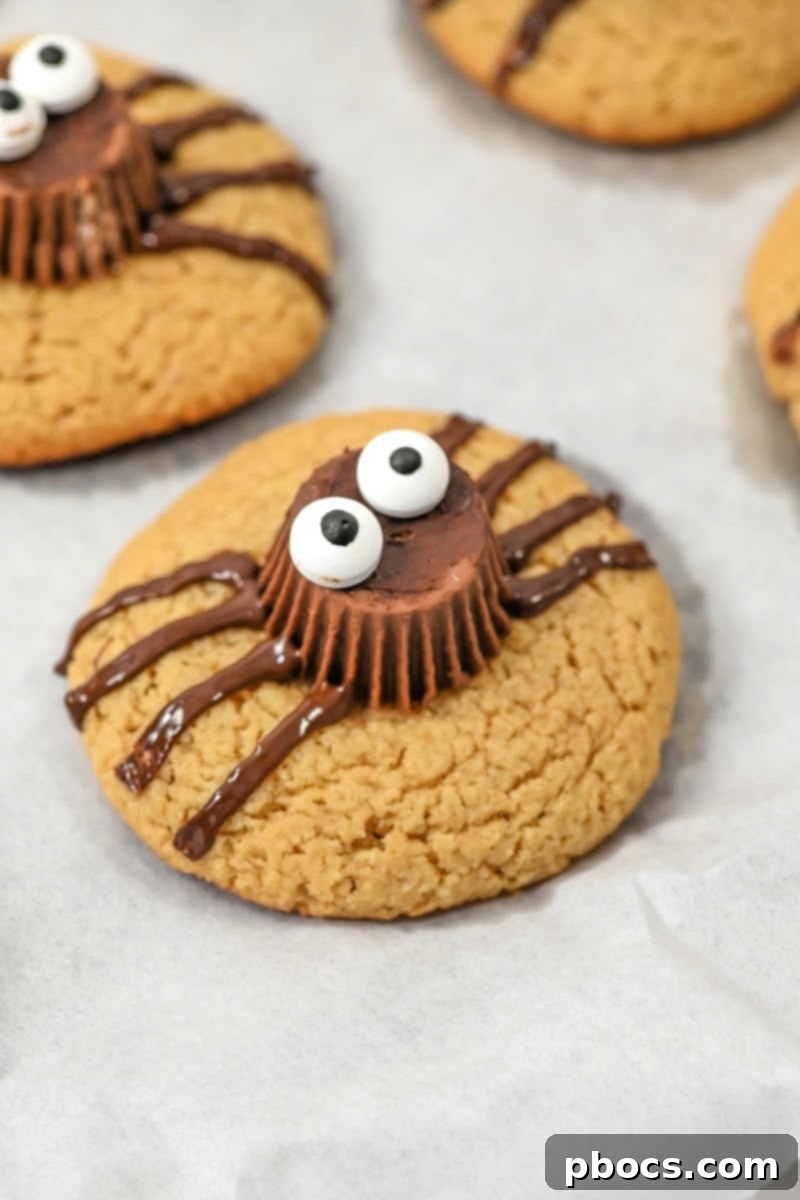 Keto Peanut Butter Spider Cookies on a cooling rack