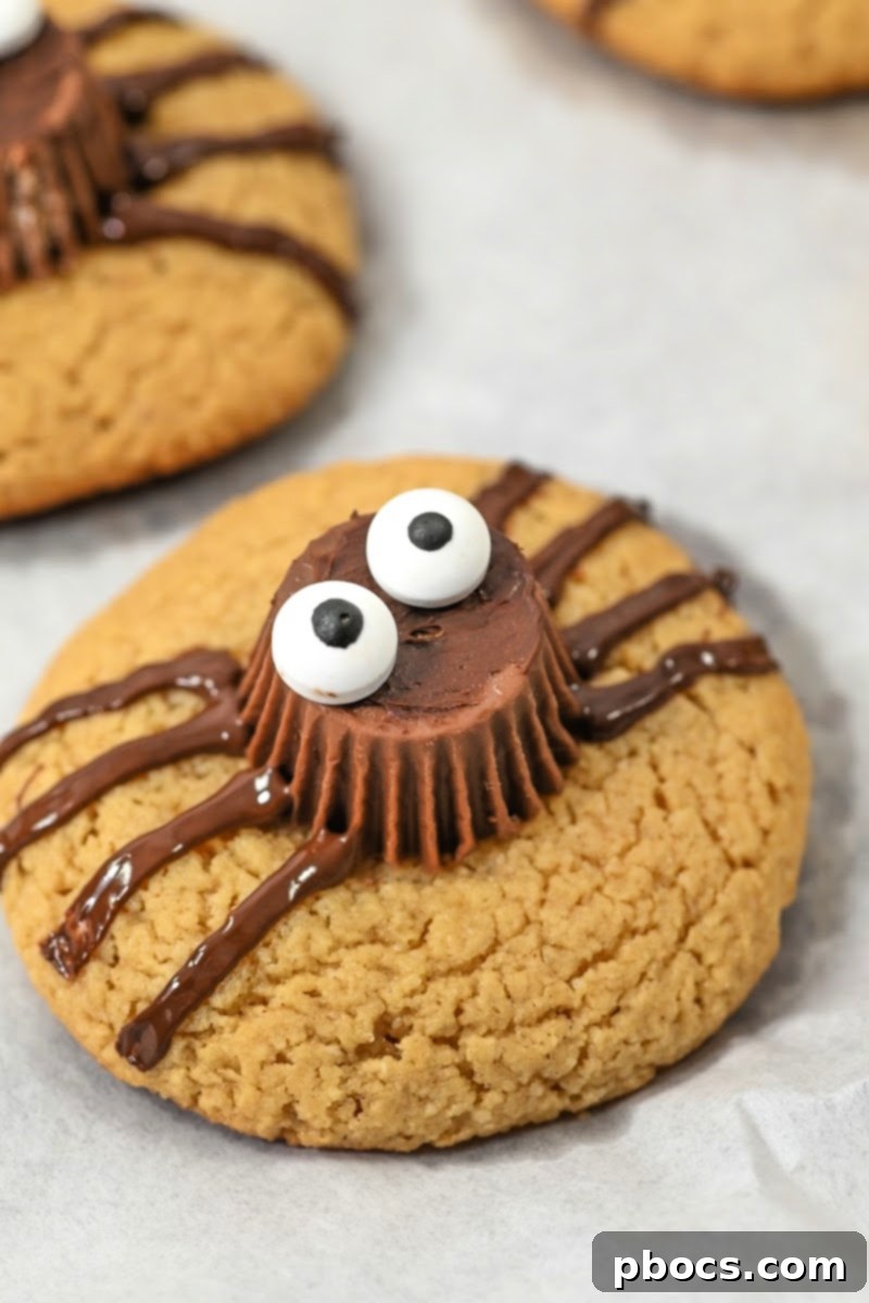 Keto Peanut Butter Spider Cookies stored in an airtight container