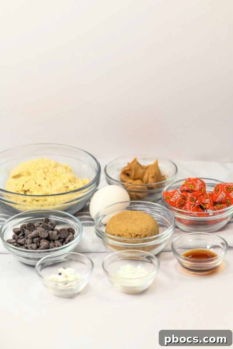 Ingredients for Keto Peanut Butter Spider Cookies