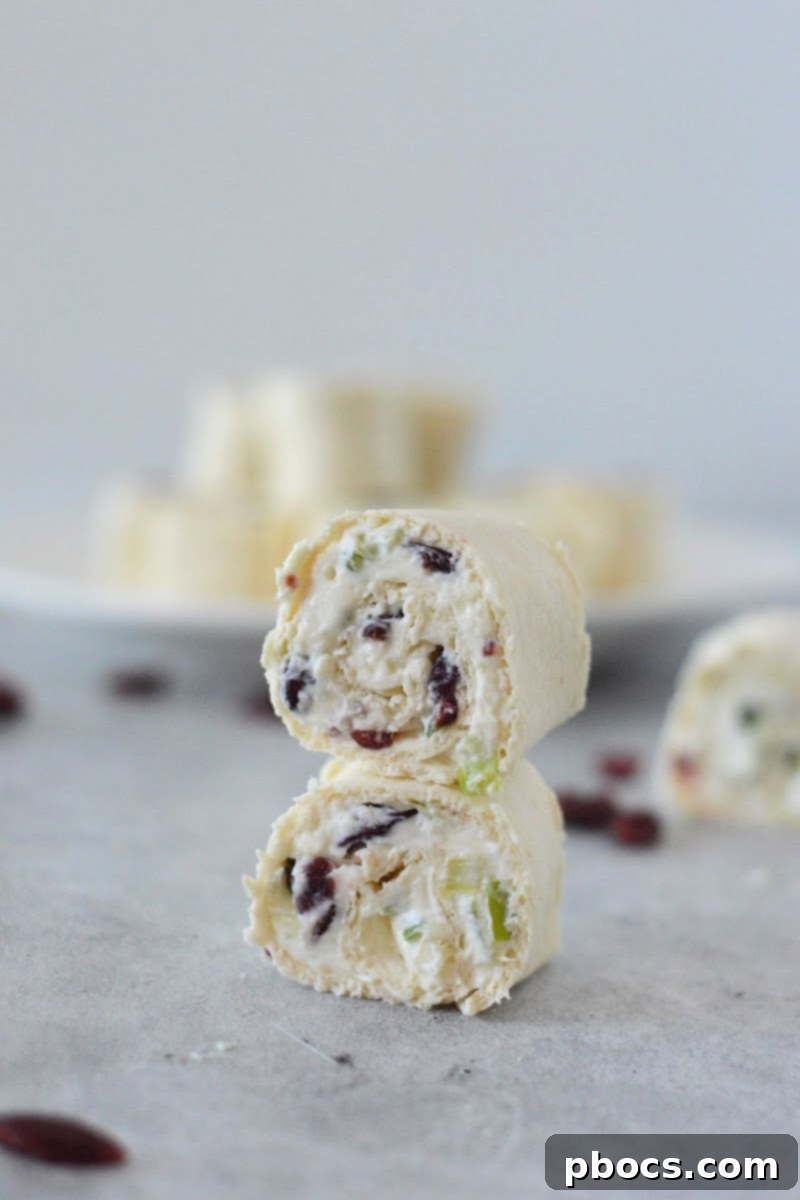A row of uncooked Low-Carb Cranberry Cream Cheese Pinwheels rolled up in tortillas, ready for chilling.