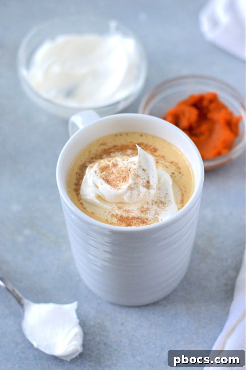 Finished Low-Carb Pumpkin Spice Latte in a mug, ready to enjoy
